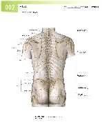 Sobotta  Atlas of Human Anatomy  Trunk, Viscera,Lower Limb Volume2 2006, page 9
